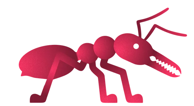Scout ant